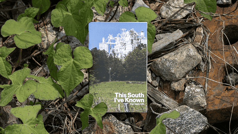 My first zine, This South I’ve Known, lying among debris.
